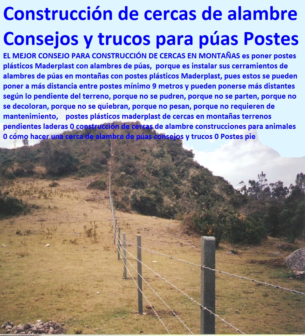 postes plásticos maderplast de cercas en montañas terrenos pendientes laderas 0 construcción de cercas de alambre construcciones para animales 0 cómo hacer una cerca de alambre de púas consejos y trucos 0 Postes pie postes plásticos maderplast de cercas en montañas terrenos pendientes laderas 0 construcción de cercas de alambre construcciones para animales 0 cómo hacer una cerca de alambre de púas consejos y trucos 0 Postes pie postes plásticos maderplast de cercas en montañas terrenos pendientes laderas 0 construcción de cercas de alambre construcciones para animales 0 cómo hacer una cerca de alambre de púas consejos y trucos 0 Postes pie